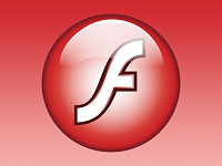 Flash   