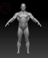 Риггинг в Zbrush (видео уроки)